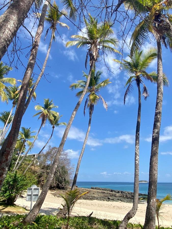 Casa Del Sol Bed And Breakfast Contadora Island Buitenkant foto